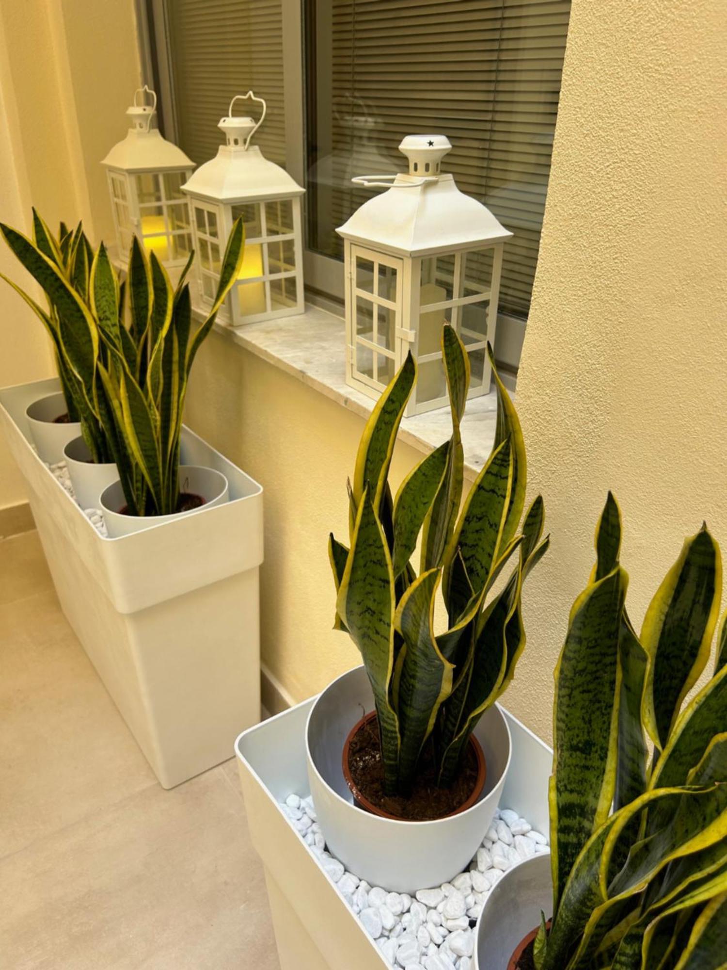 Casa Lounge Costituzione Cagliari